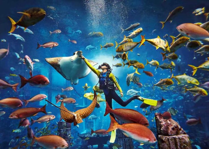 Aventuras y viajes en Marbella